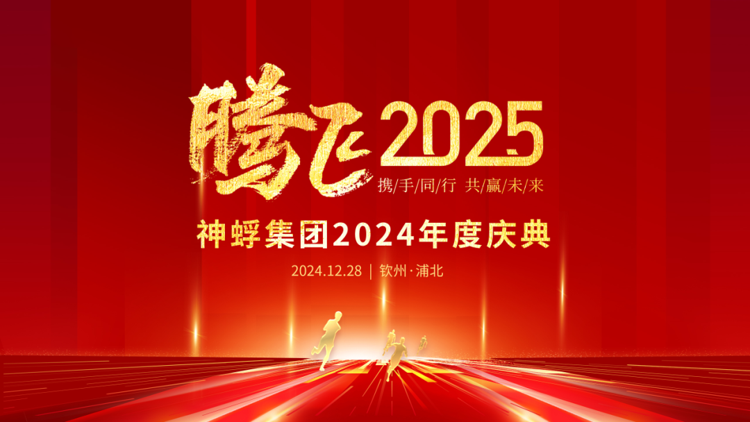 腾飞2025年度庆典