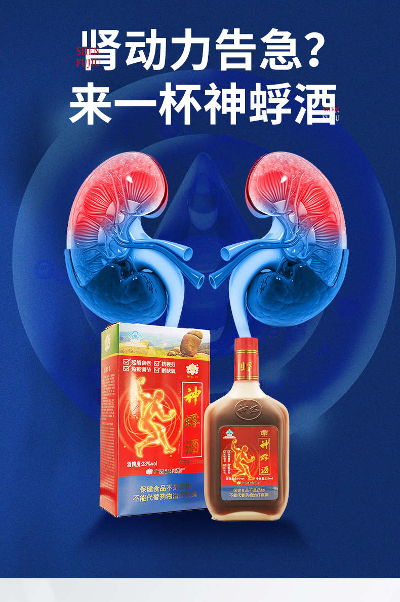 补肾款_03.jpg