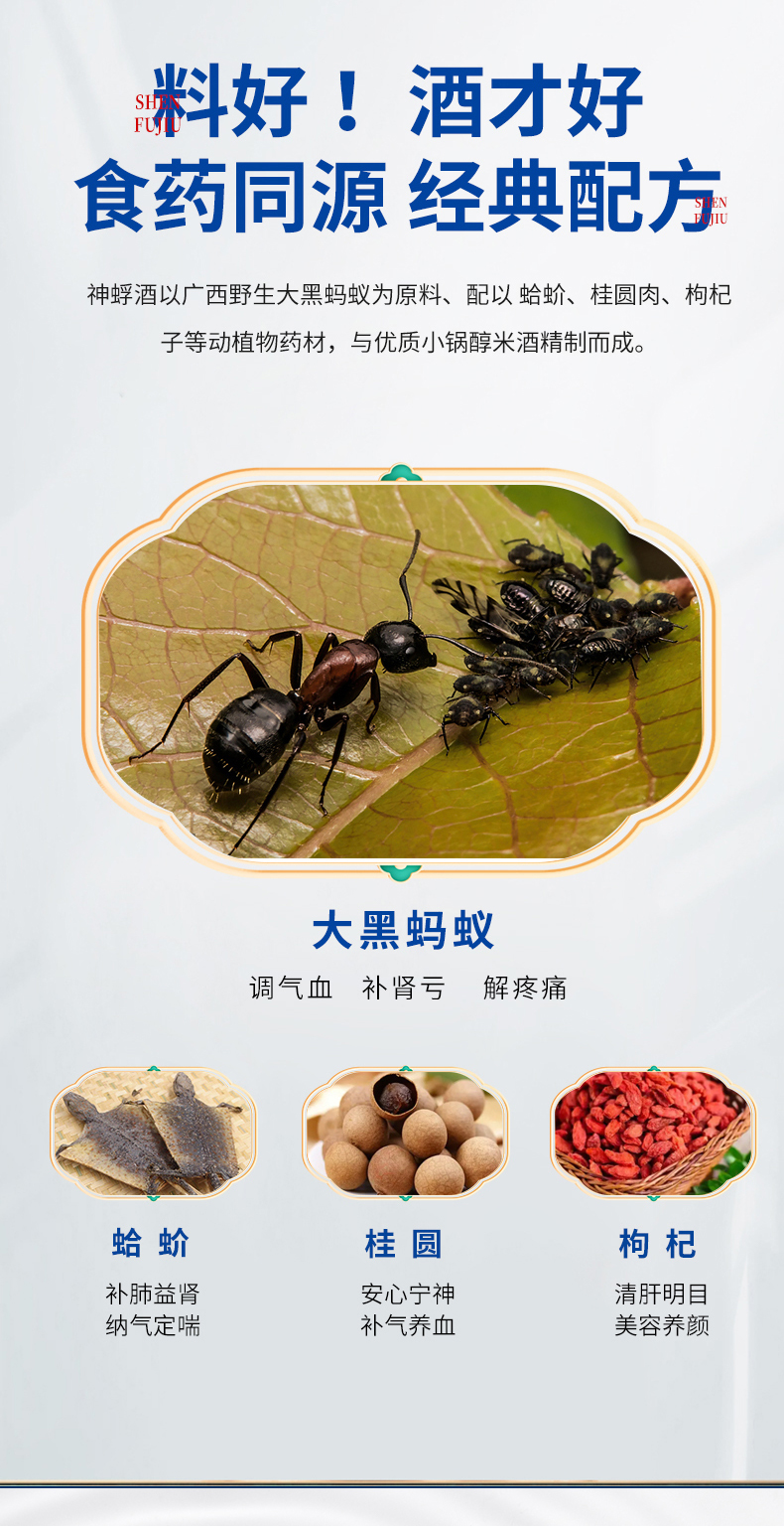 补肾款_04.jpg