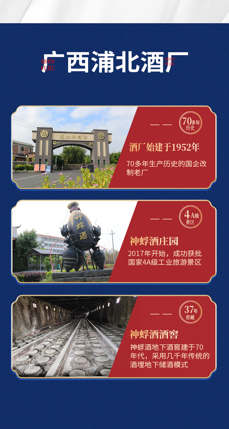 补肾款_09.jpg